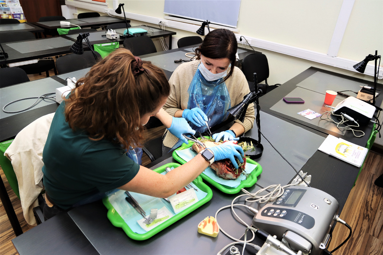 Атравматичное удаление зубов и методики наложения швов