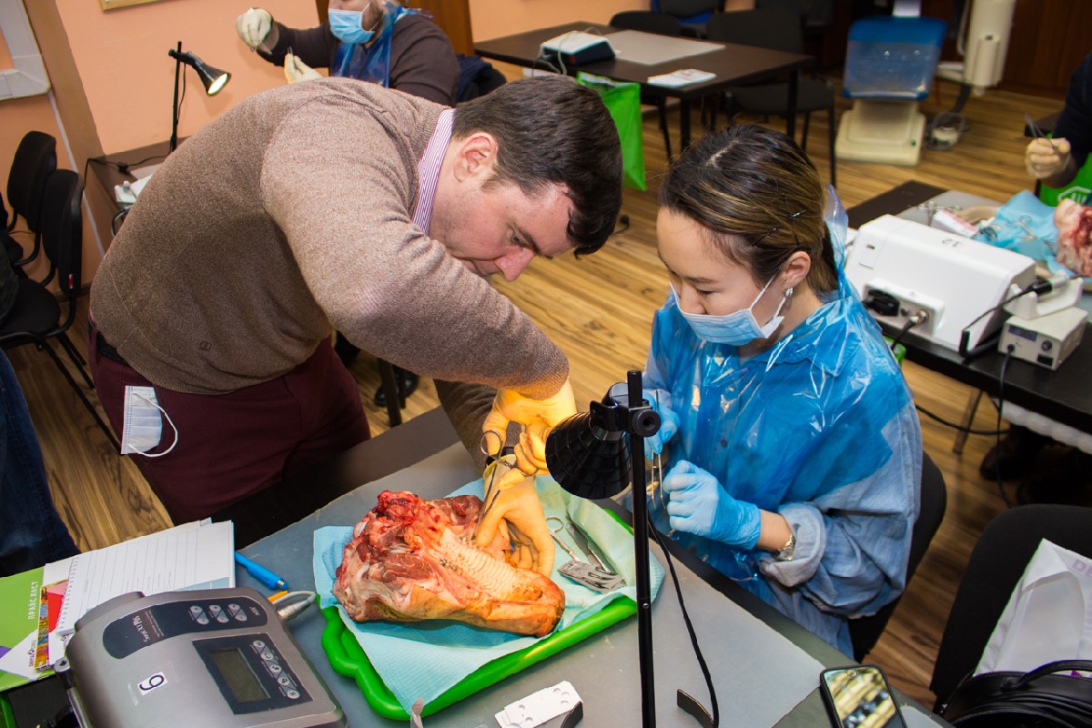 20-21 февраля 2020. Панцулая В.Г. Пластика мягких тканей вокруг имплантатов. Морфологический подход