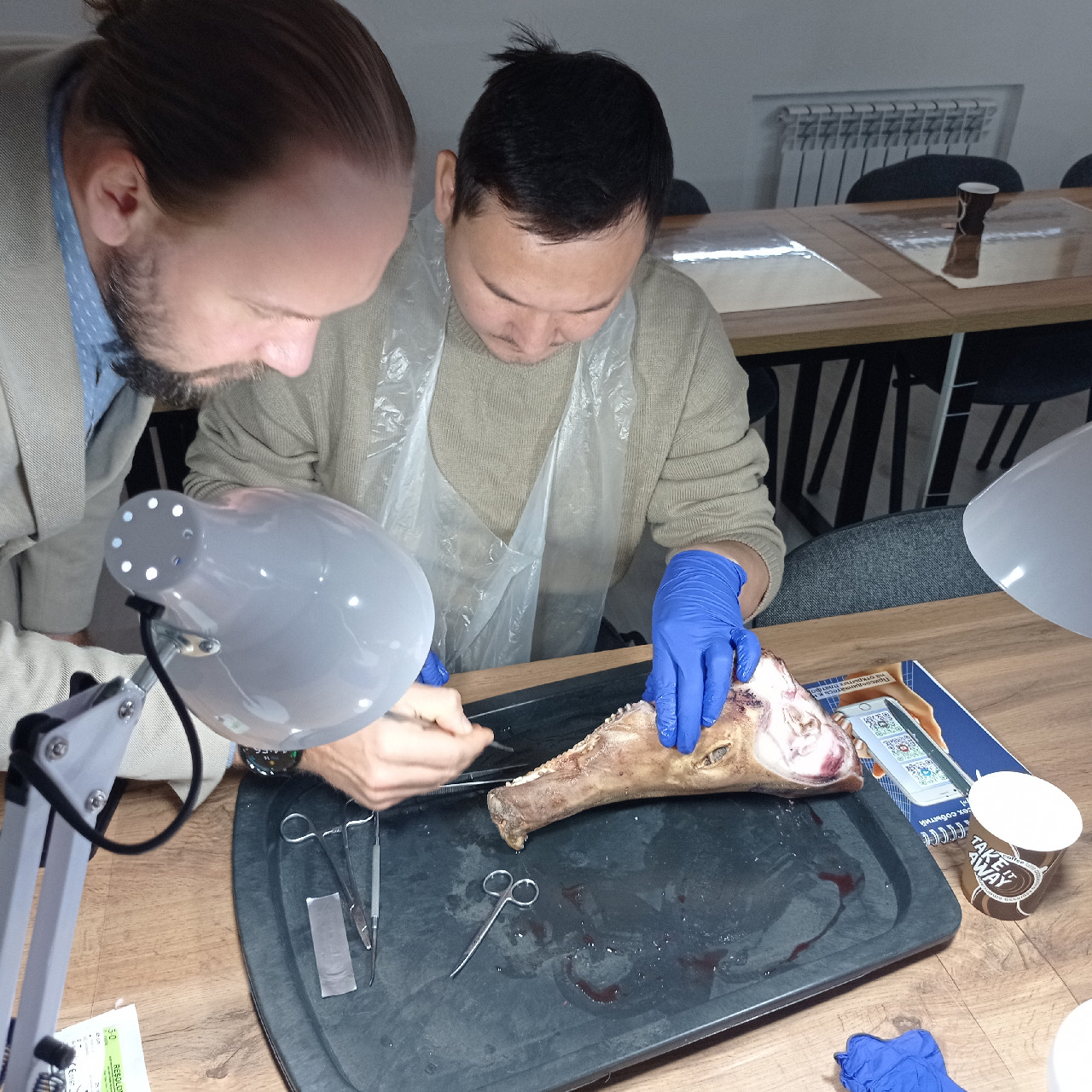 Курс Камиля Хабиева в Астане: Пластика мягких тканей вокруг имплантатов