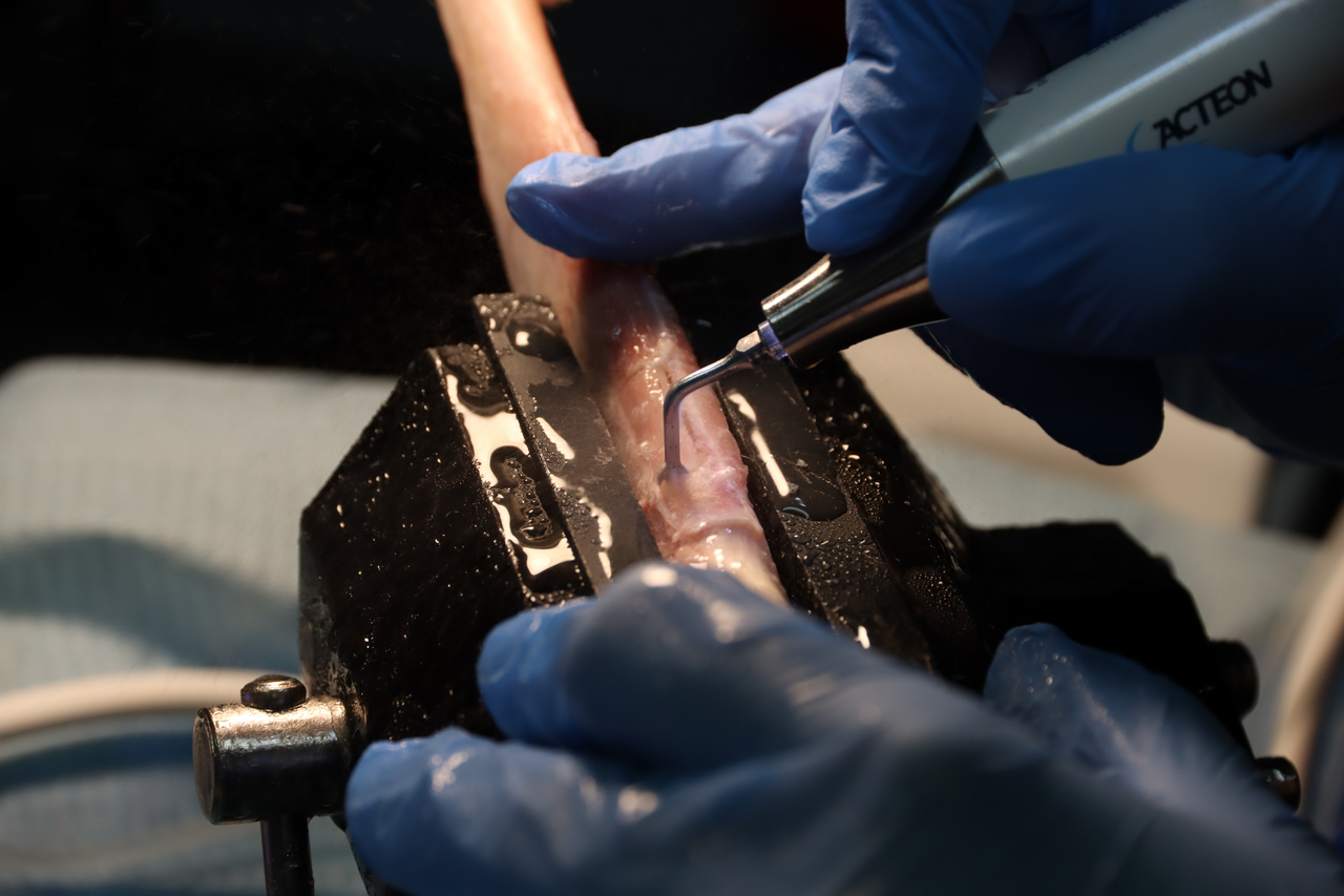 Продвинутый курс по имплантации 10-11 февраля