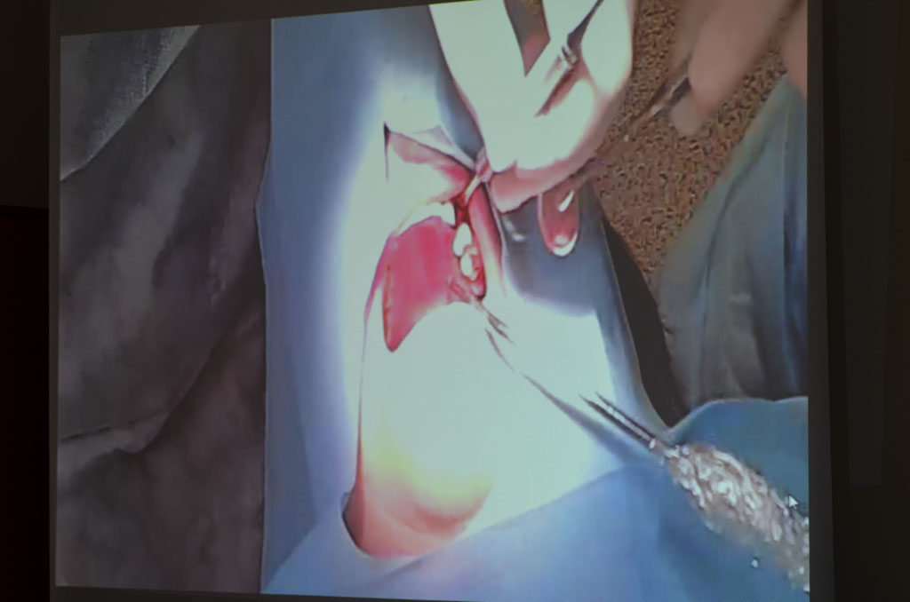 Российско-Корейский Медицинский Конгресс!