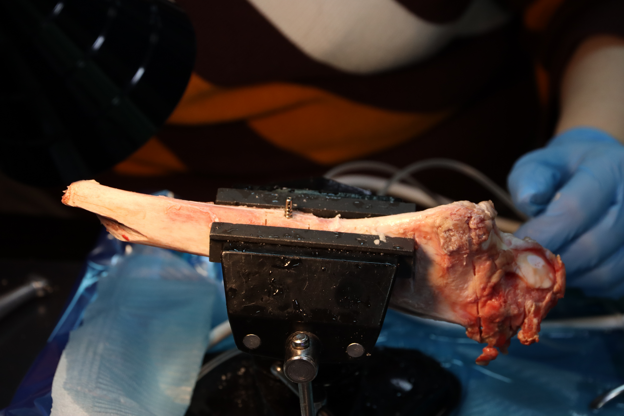 Продвинутый курс по имплантации 10-11 февраля