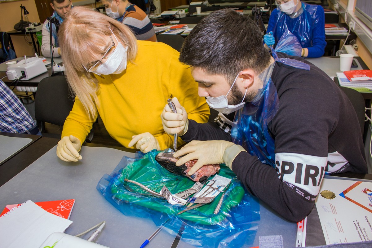 21 ноября 2019: курс Камиля Наильевича Хабиева «Атравматичное удаление зубов и методики наложения швов».