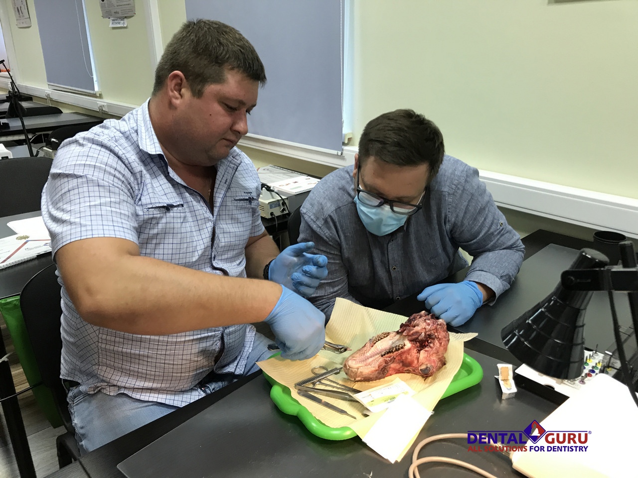 Курс Виталия Панцулая: одномоментная имплантация и немедленная нагрузка