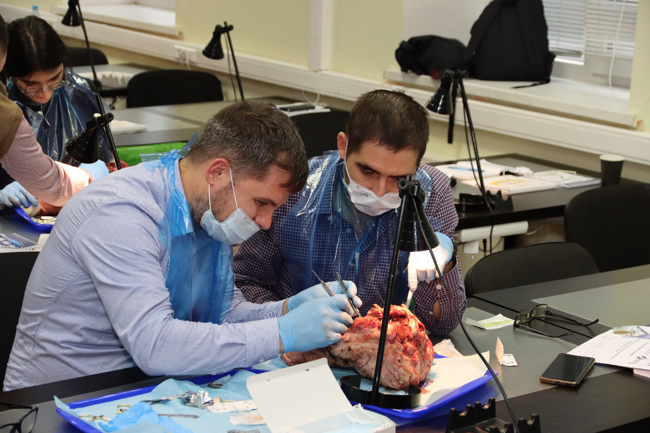 Пластика мягких тканей вокруг имплантатов. Морфологический подход