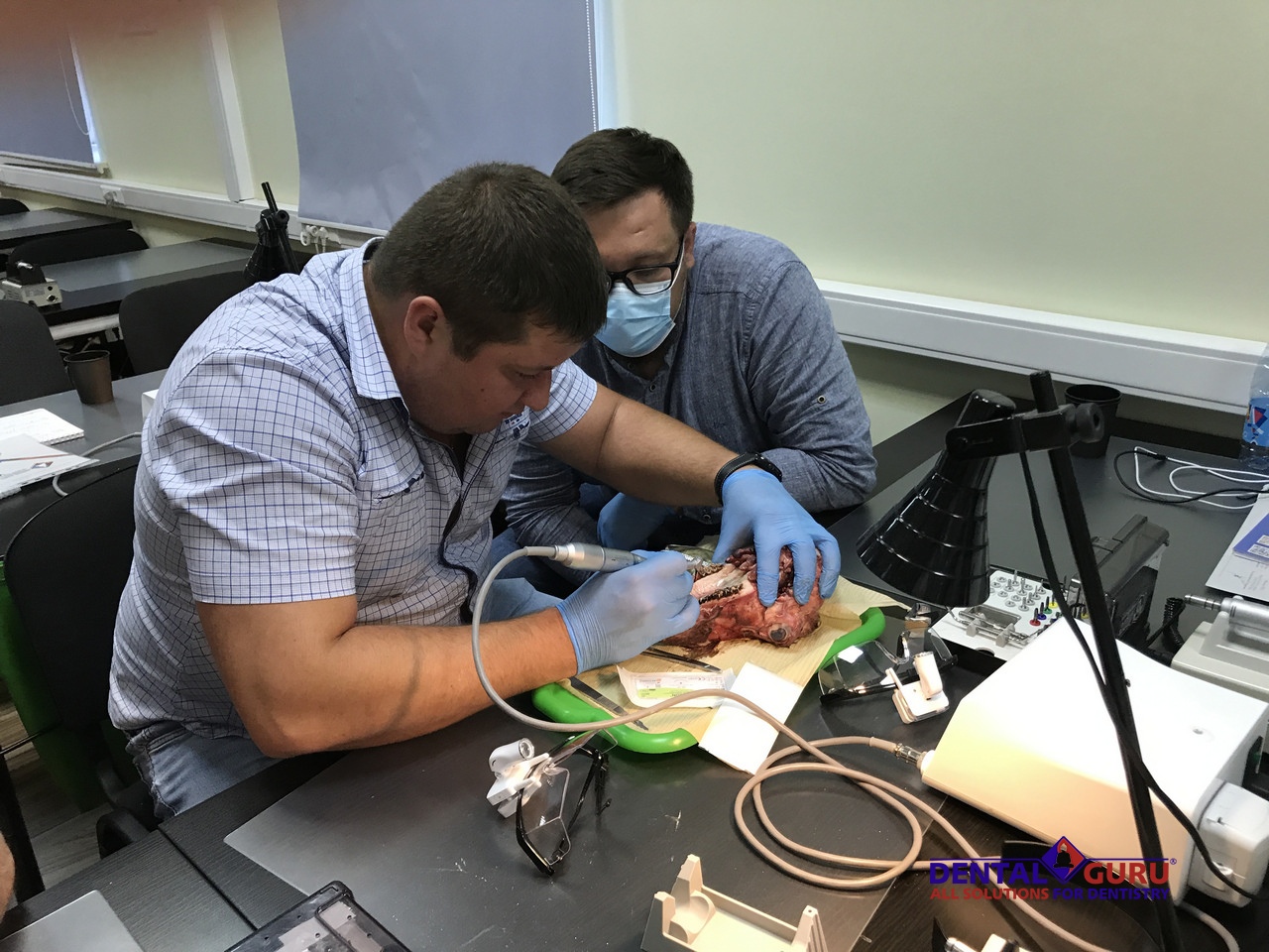 Курс Виталия Панцулая: одномоментная имплантация и немедленная нагрузка