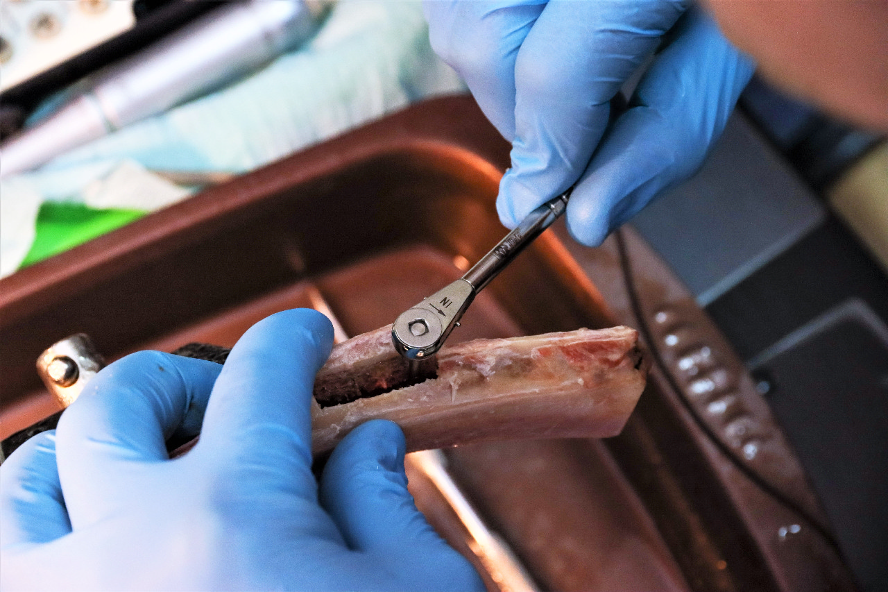 Продвинутый курс по имплантации. Костная пластика и синус-лифтинг