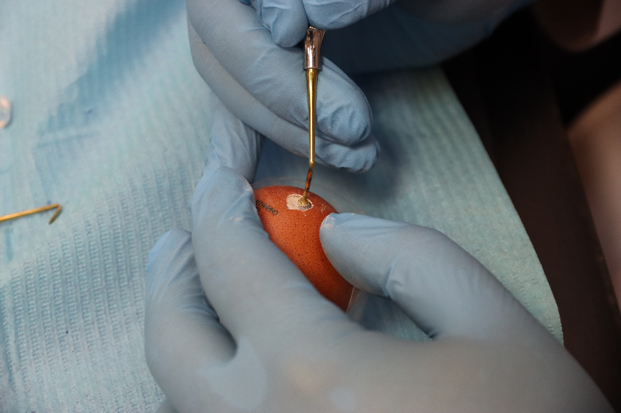 Продвинутый курс по имплантации