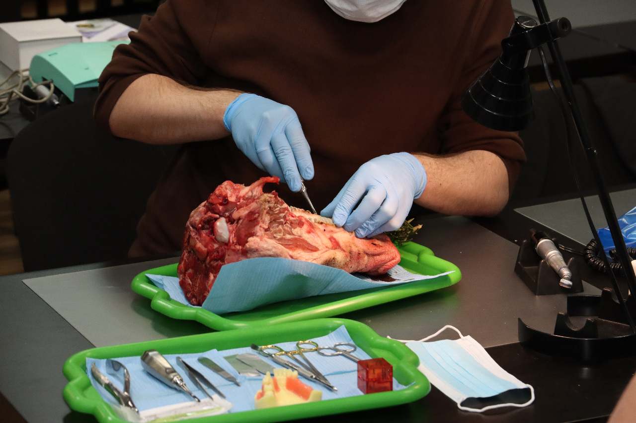 Атравматичное удаление зубов и методики наложения швов