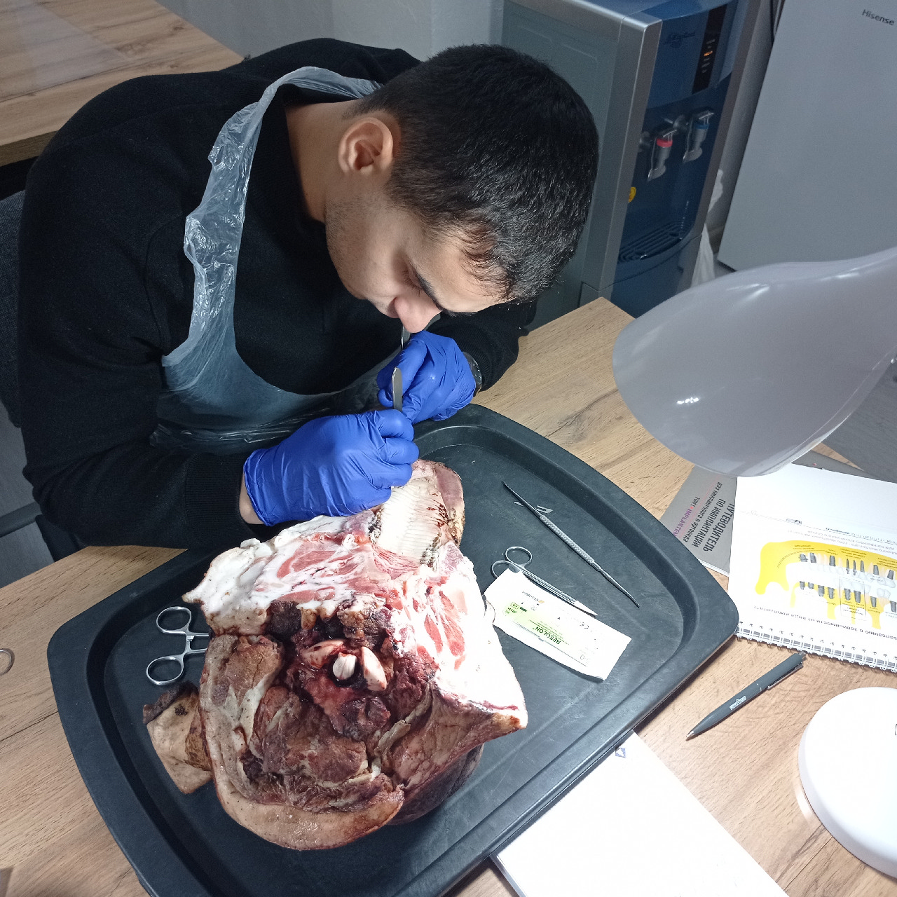 Курс Камиля Хабиева в Астане: Пластика мягких тканей вокруг имплантатов