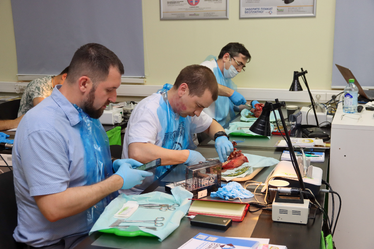 Одномоментная имплантация и немедленная нагрузка