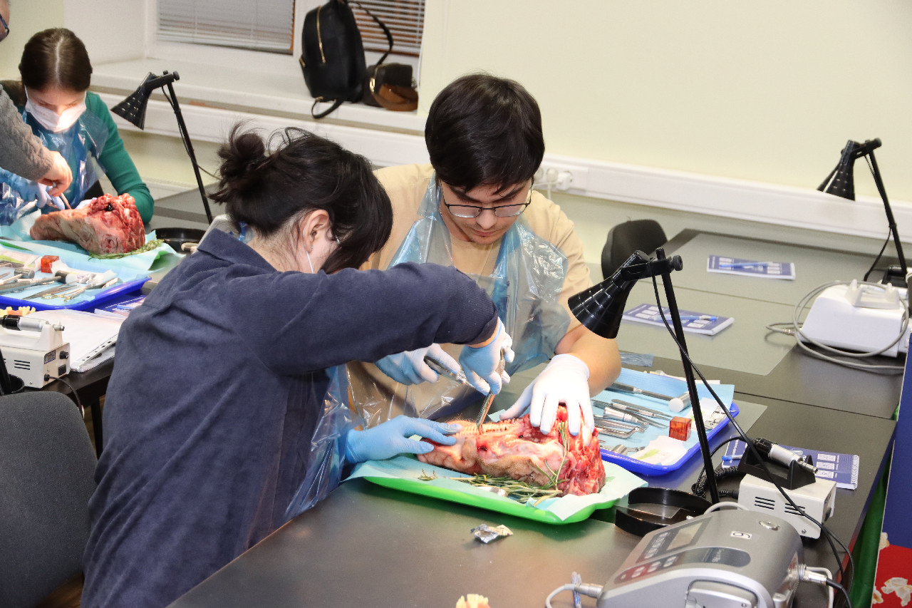 Атравматичное удаление зубов и методики наложения швов