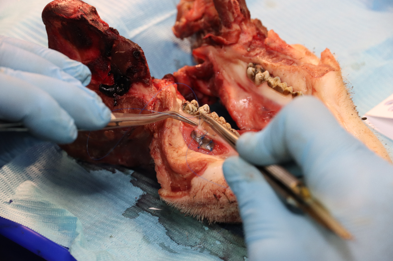 Продвинутый курс по пластике мягких тканей