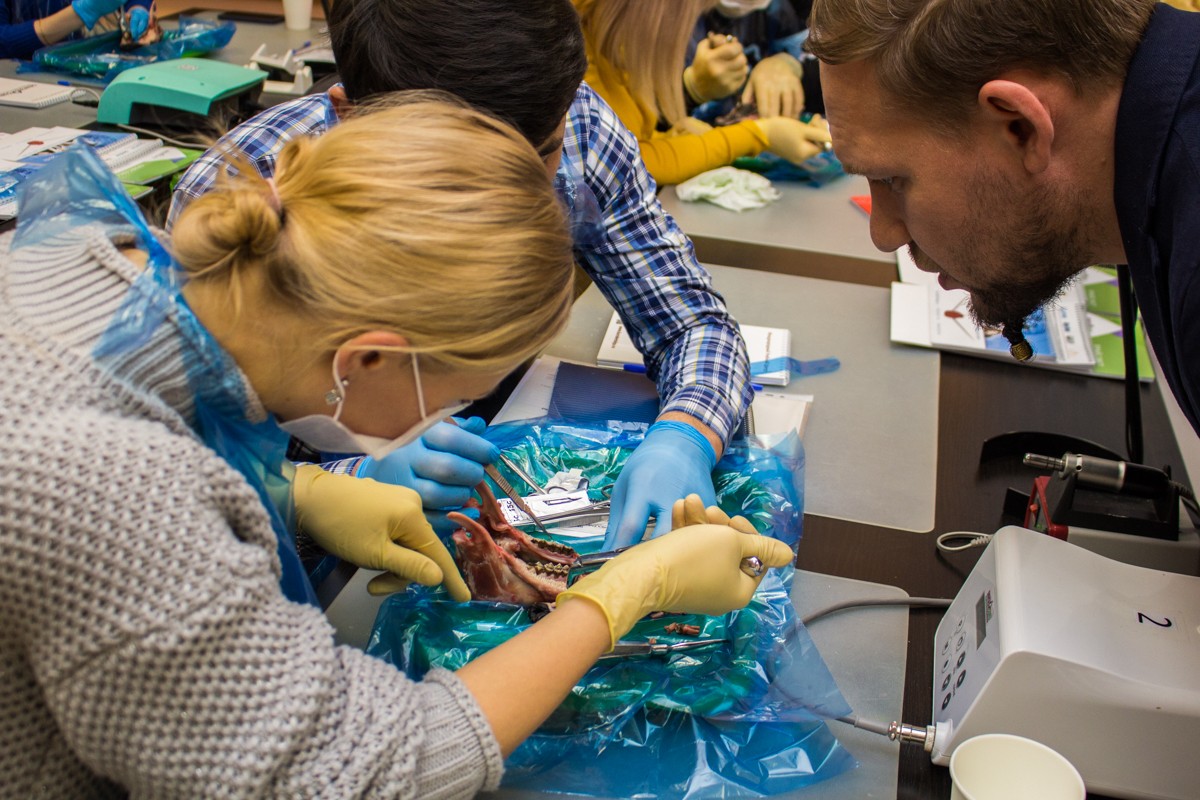 21 ноября 2019: курс Камиля Наильевича Хабиева «Атравматичное удаление зубов и методики наложения швов».