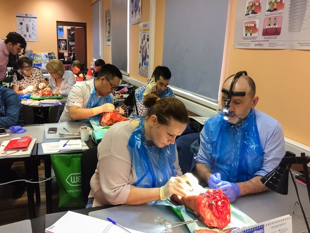 Пластика мягких тканей вокруг имплантатов. Морфологический подход