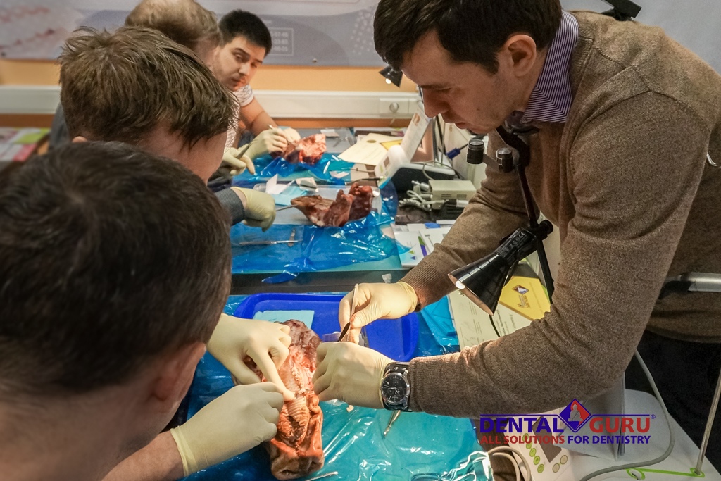 Пластика мягких тканей вокруг имплантатов. Морфологический подход