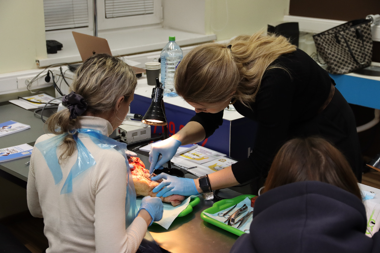 Атравматичное удаление зубов и методики наложения швов