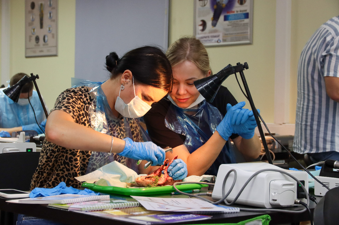 Одномоментная имплантация и немедленная нагрузка