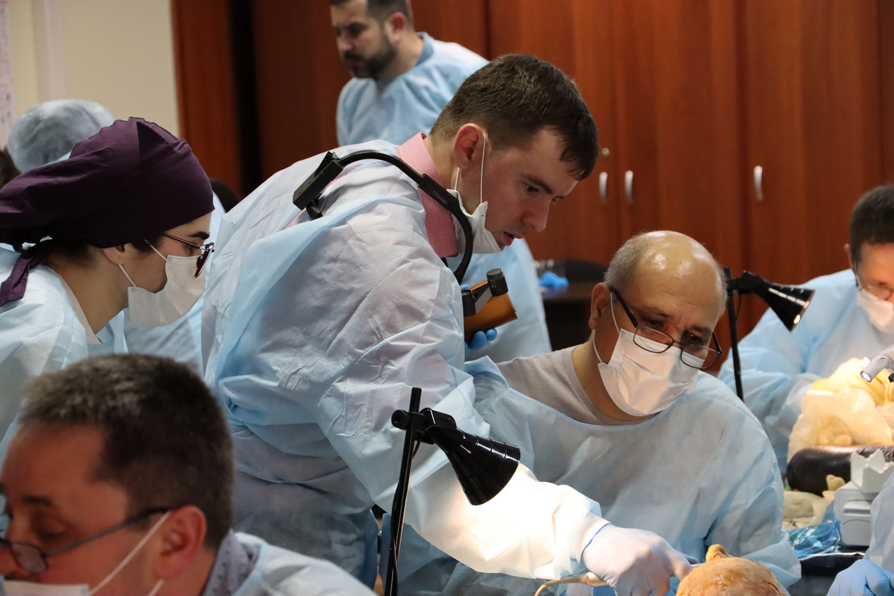 Кадавер-курс Виталия Георгиевича Панцулая