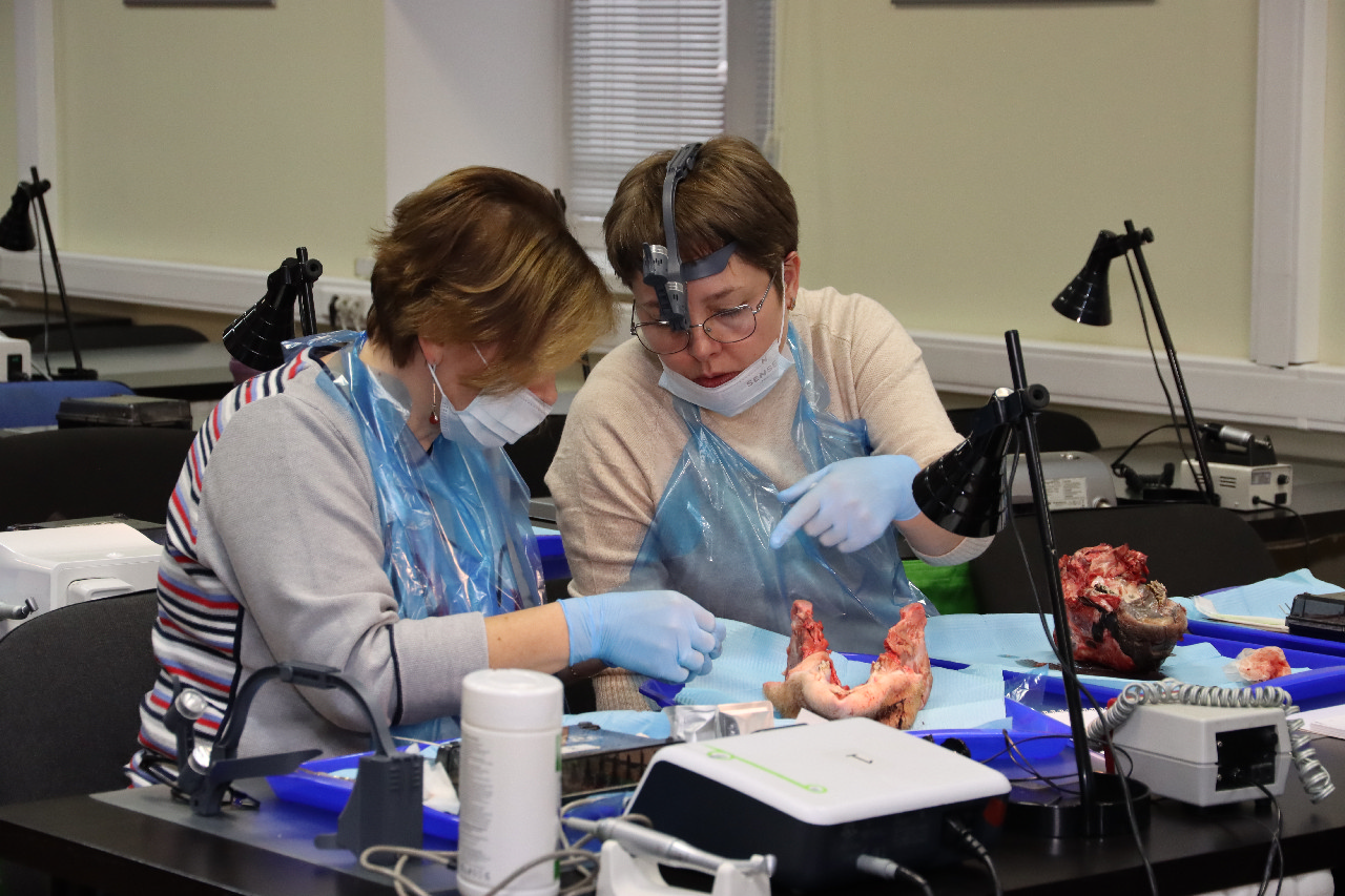 Продвинутый курс по пластике мягких тканей