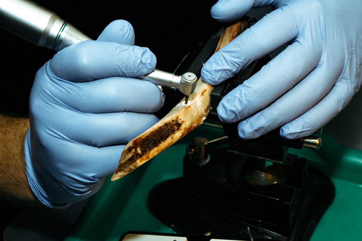 Базовый курс по имплантации, 29 и 30 ноября 2019г.