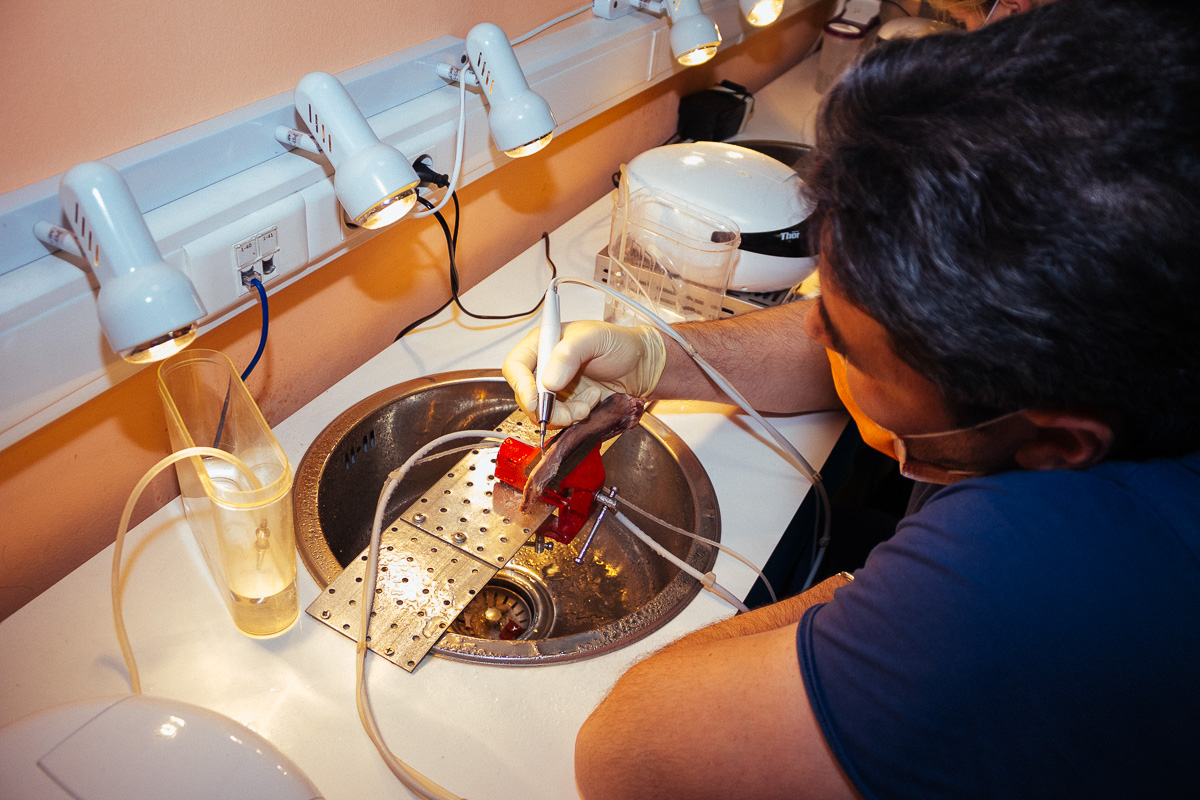 Виталий Георгиевич Панцулая: Продвинутый курс по имплантации. Костная пластика. 5-6 сентября