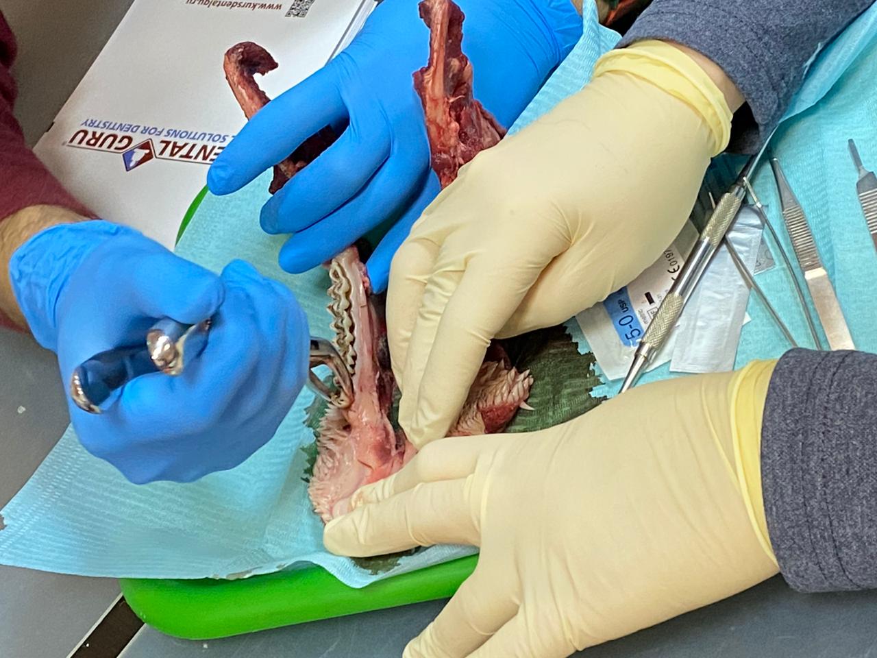 Атравматичное удаление зубов и методики наложения швов. Пост-релиз 11.12.20