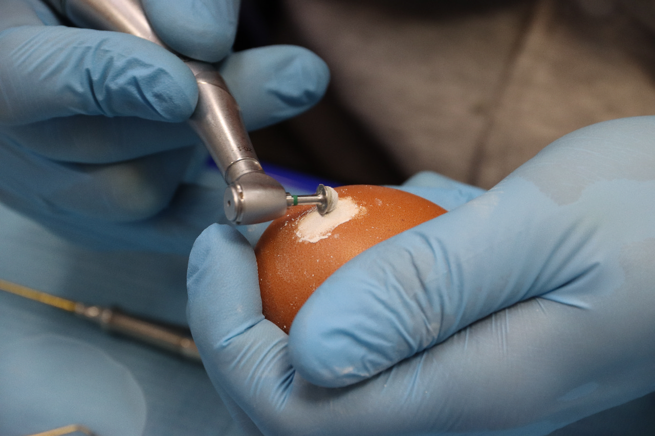 Продвинутый курс по имплантации