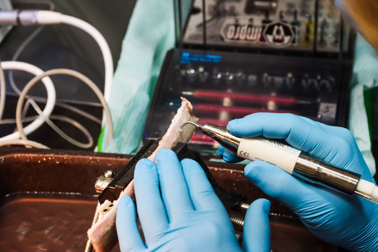 Продвинутый курс по имплантации. Костная пластика и синус-лифтинг