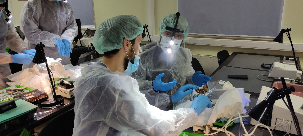 Кадавер-курс 