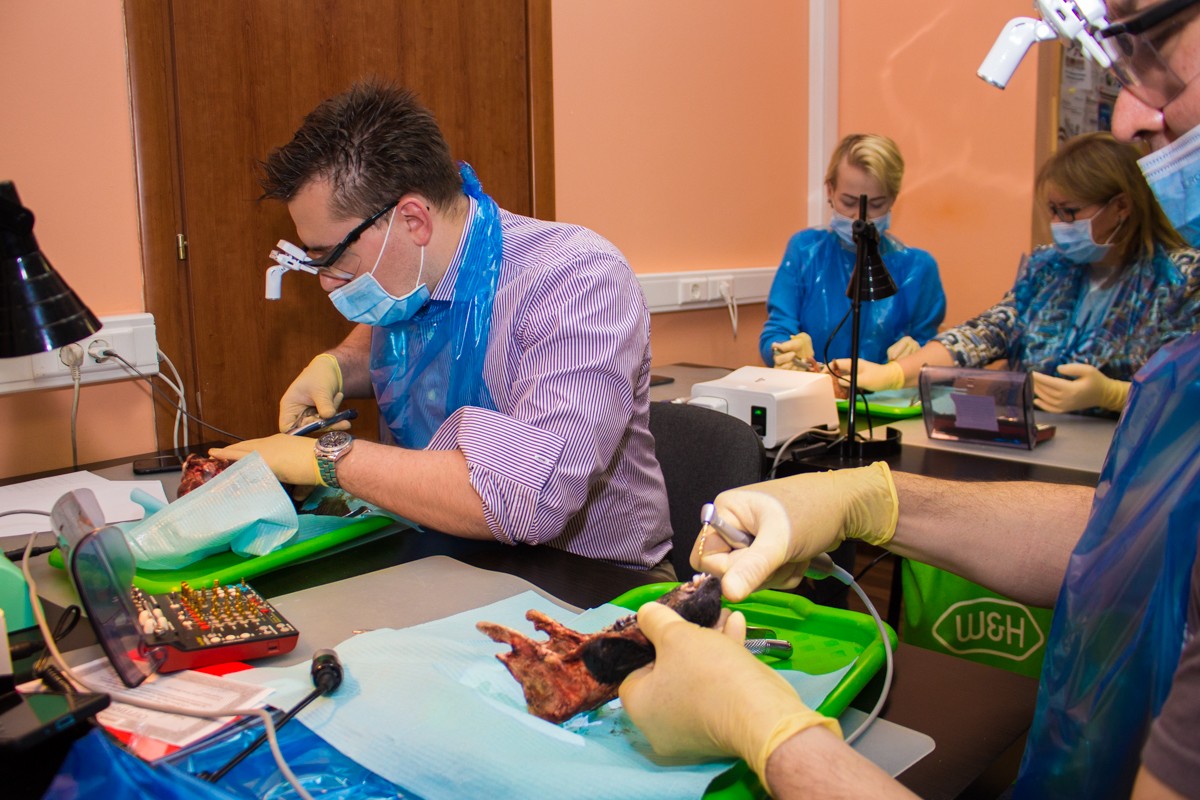 Одномоментная имплантация и немедленная нагрузка. 3 февраля 2020