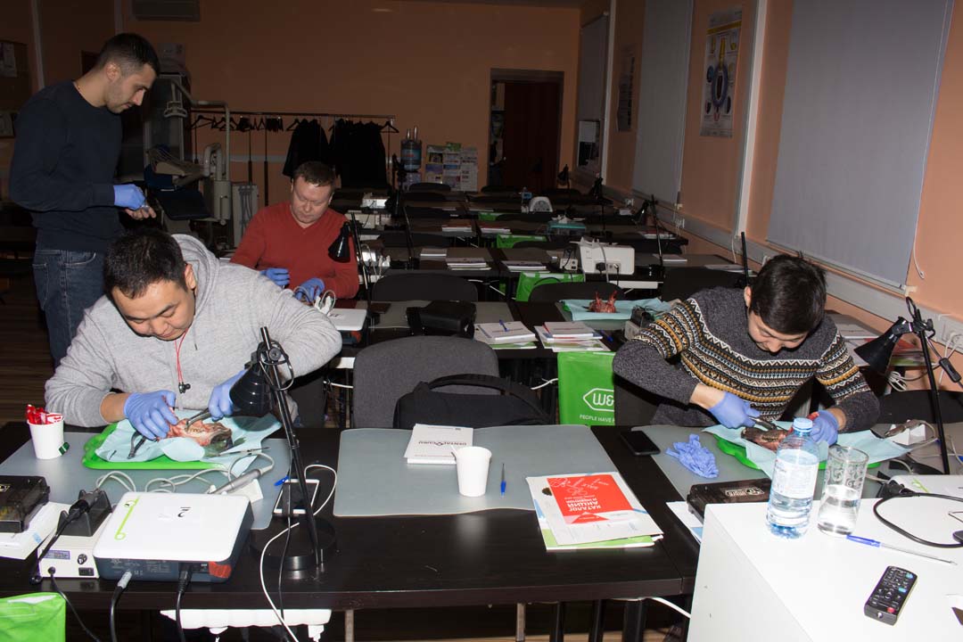 Как спасти имплантат? Стратегия и тактика в лечении периимплантита. Этиопатогенетическая и прогностическая концепции