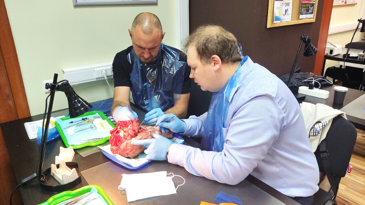 Пластика мягких тканей вокруг имплантатов. Морфологический подход