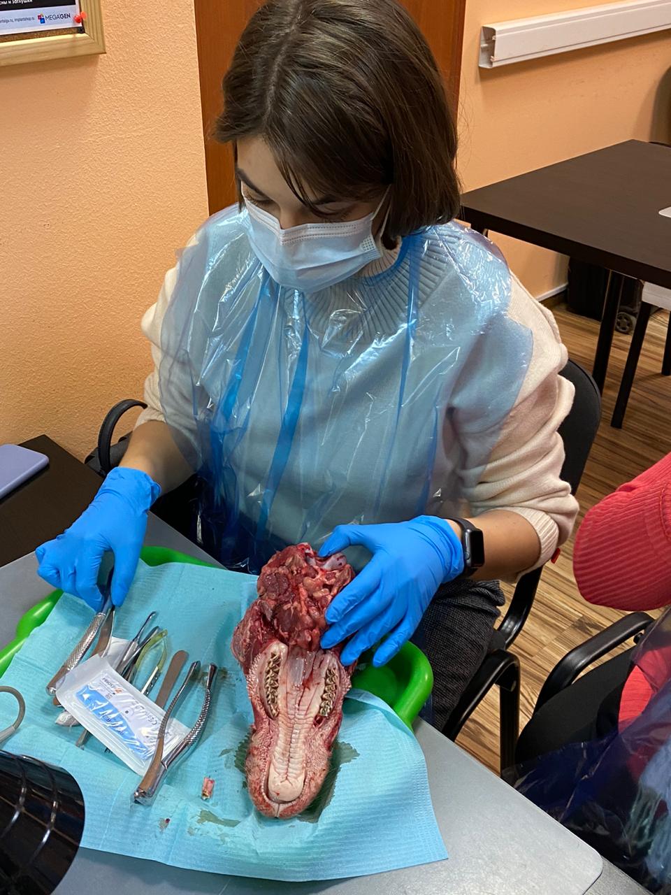 Атравматичное удаление зубов и методики наложения швов. Пост-релиз 11.12.20