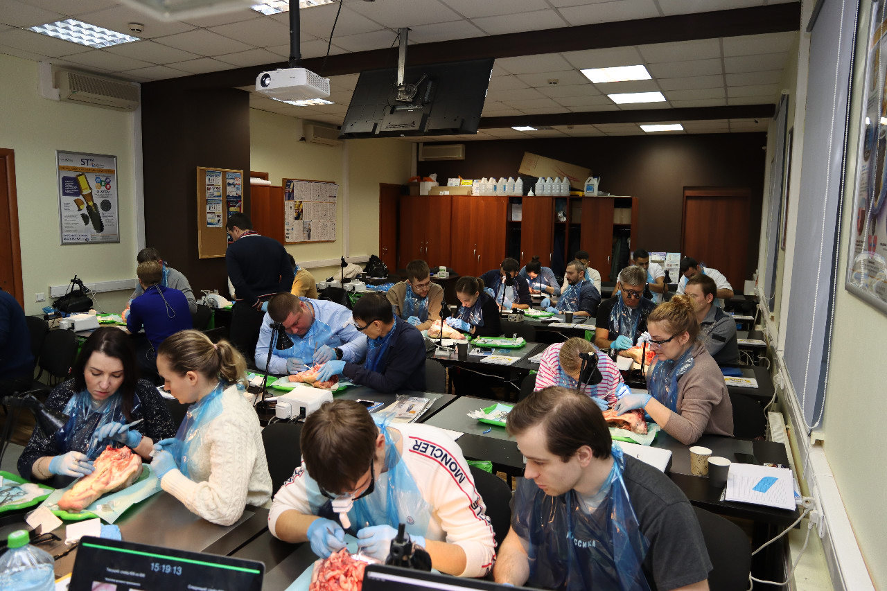 Пластика мягких тканей вокруг имплантатов. Морфологический подход