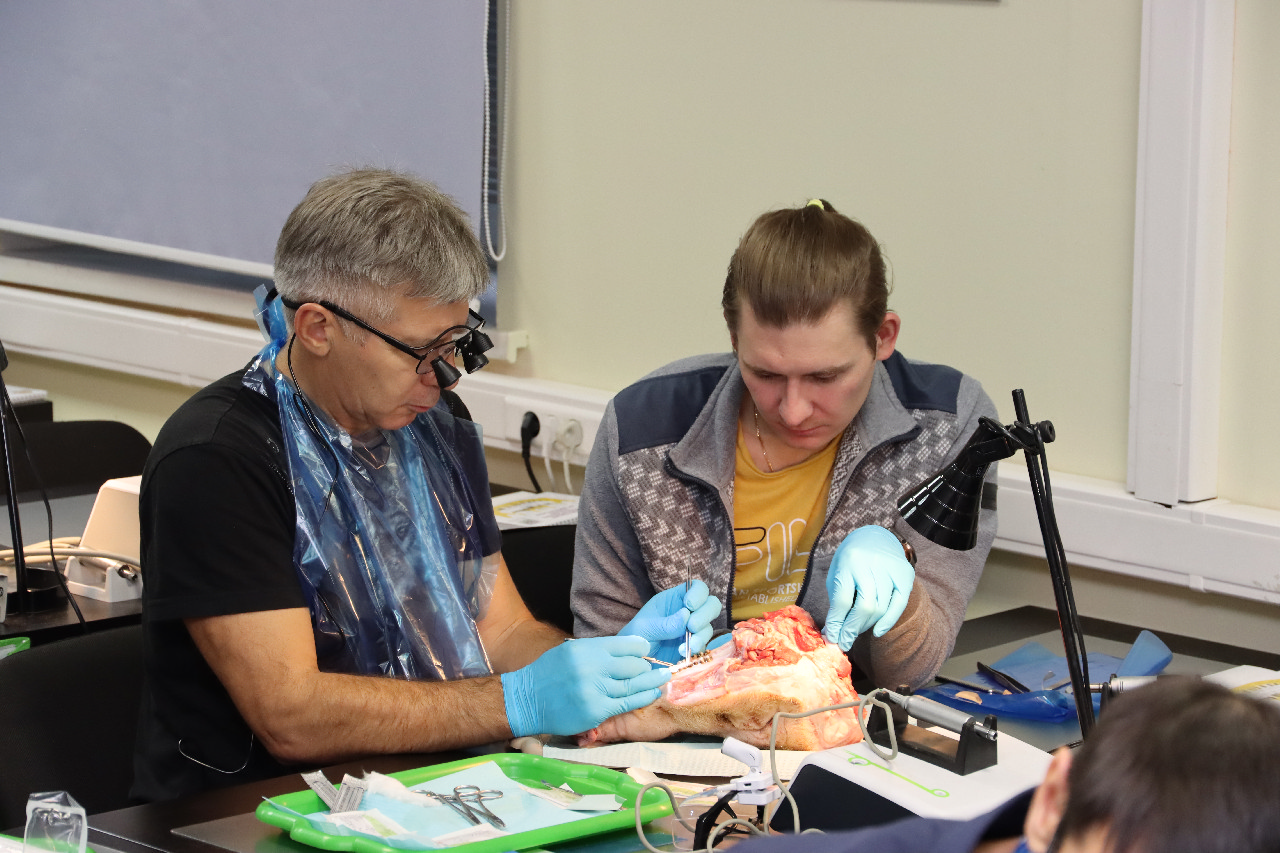 Пластика мягких тканей вокруг имплантатов. Морфологический подход