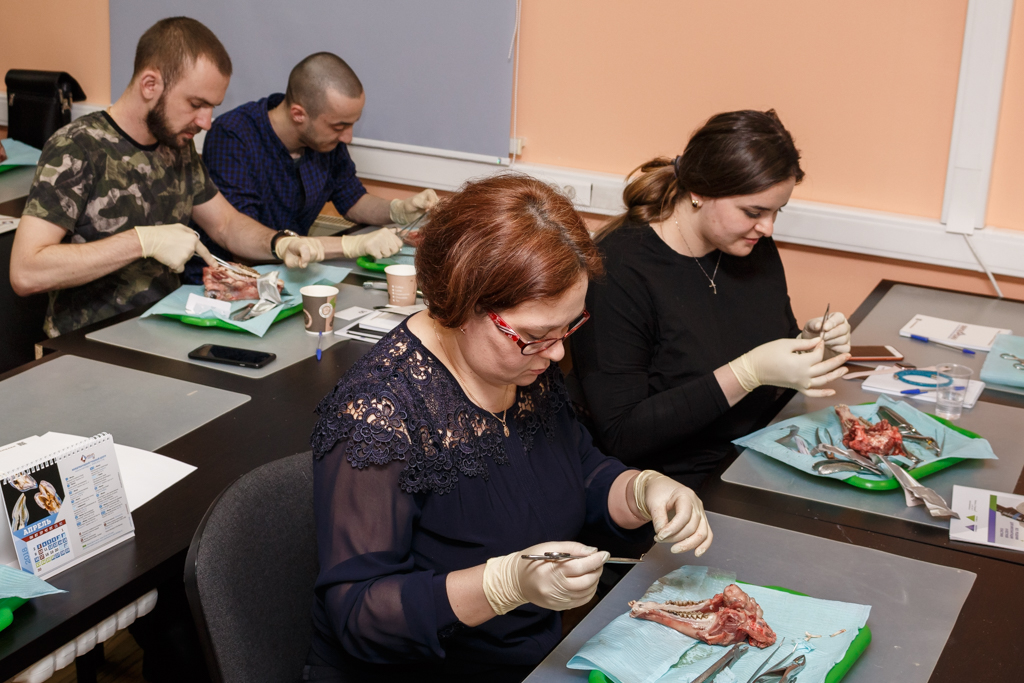 Атравматичное удаление зубов и методики наложения швов