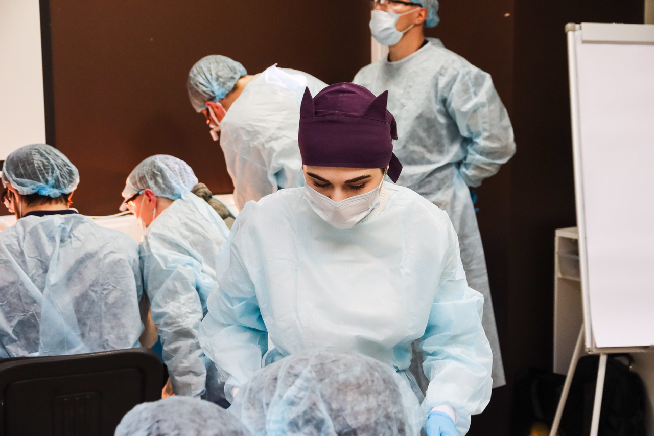 Кадавер-курс Виталия Георгиевича Панцулая 5 марта