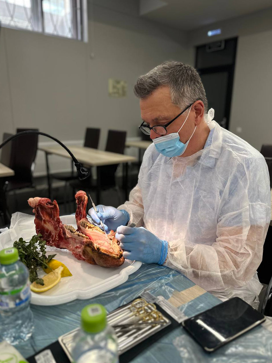 Пластика мягких тканей в периимплантатной области