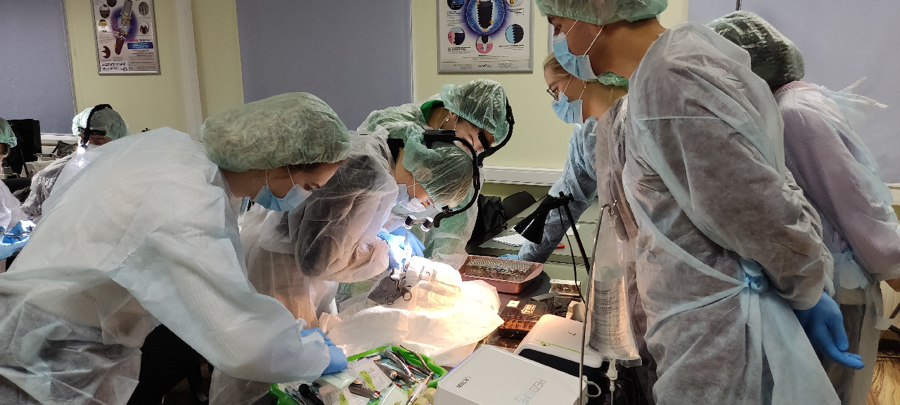 Кадавер-курс 