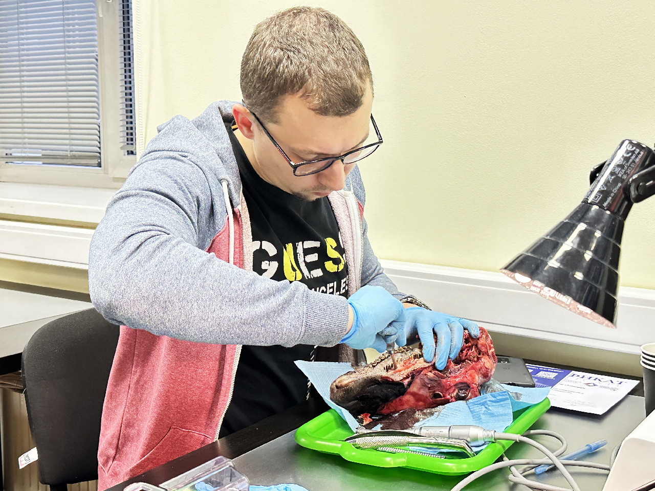 Одномоментная имплантация и немедленная нагрузка