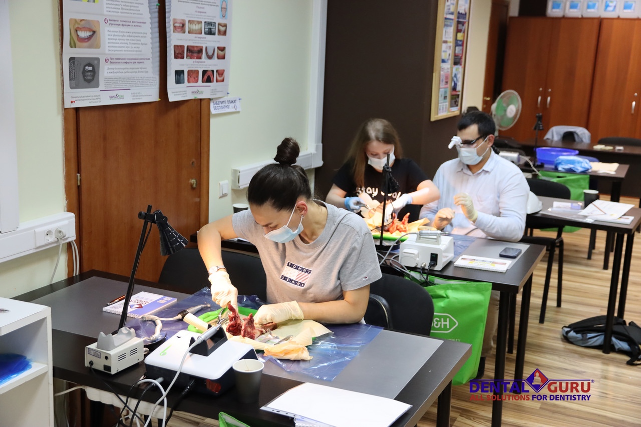 Атравматичное удаление зубов и методики наложения швов. Пост-релиз 3 августа 2021