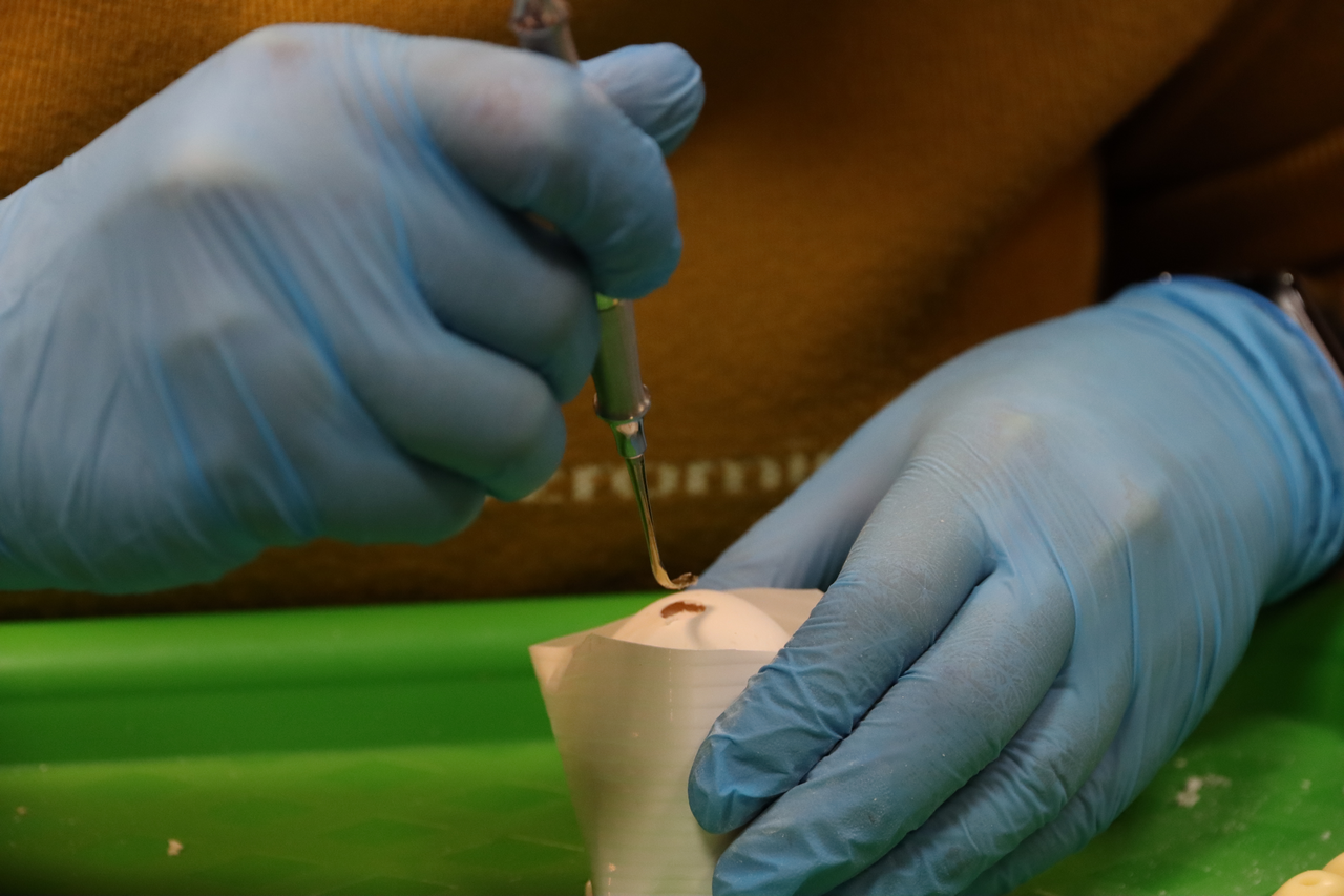 Продвинутый курс по имплантации. Костная пластика