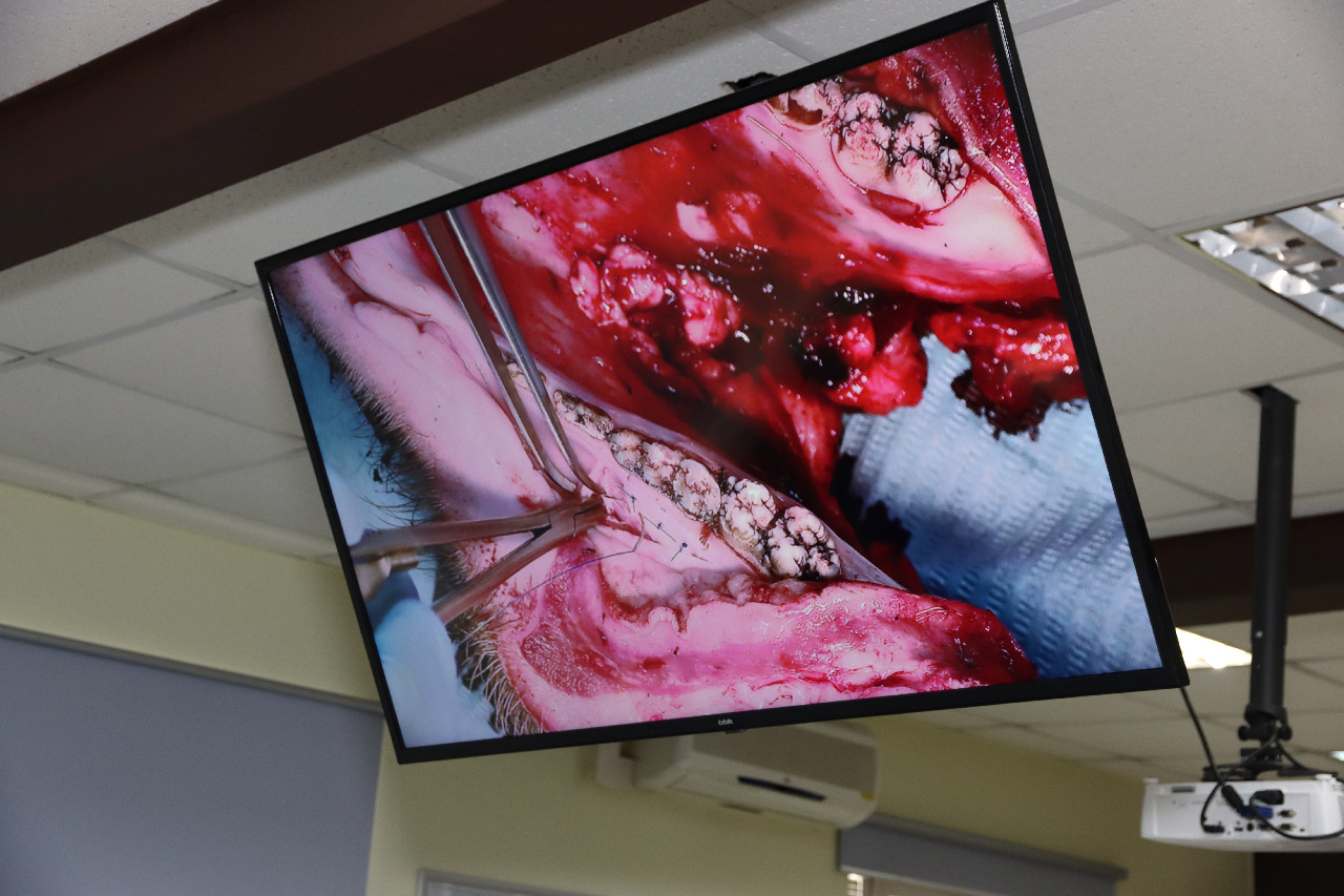 Продвинутый курс по пластике мягких тканей