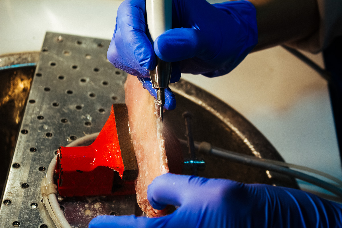 Виталий Георгиевич Панцулая: Продвинутый курс по имплантации. Костная пластика. 5-6 сентября