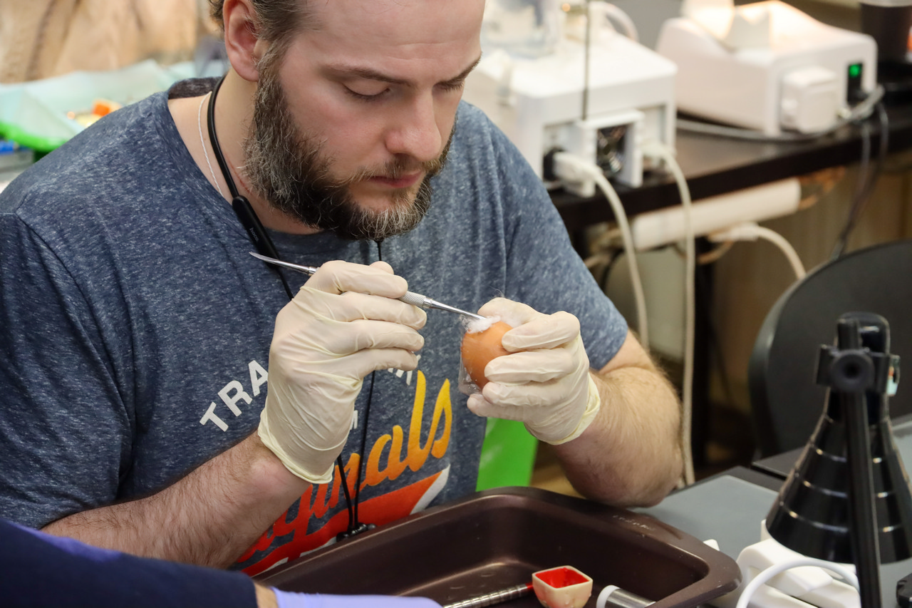 Продвинутый курс по имплантации. Костная пластика и синус-лифтинг