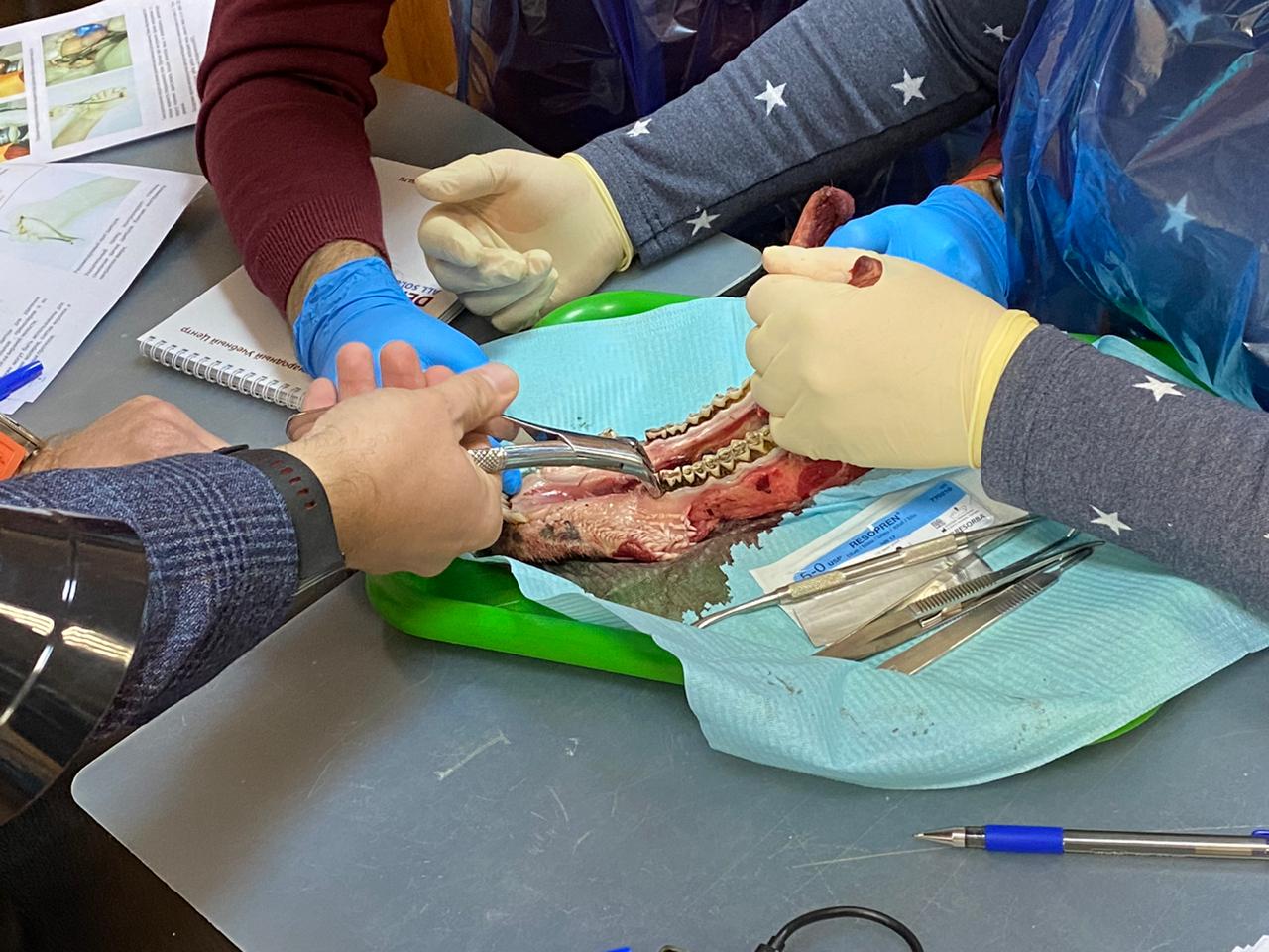 Атравматичное удаление зубов и методики наложения швов. Пост-релиз 11.12.20