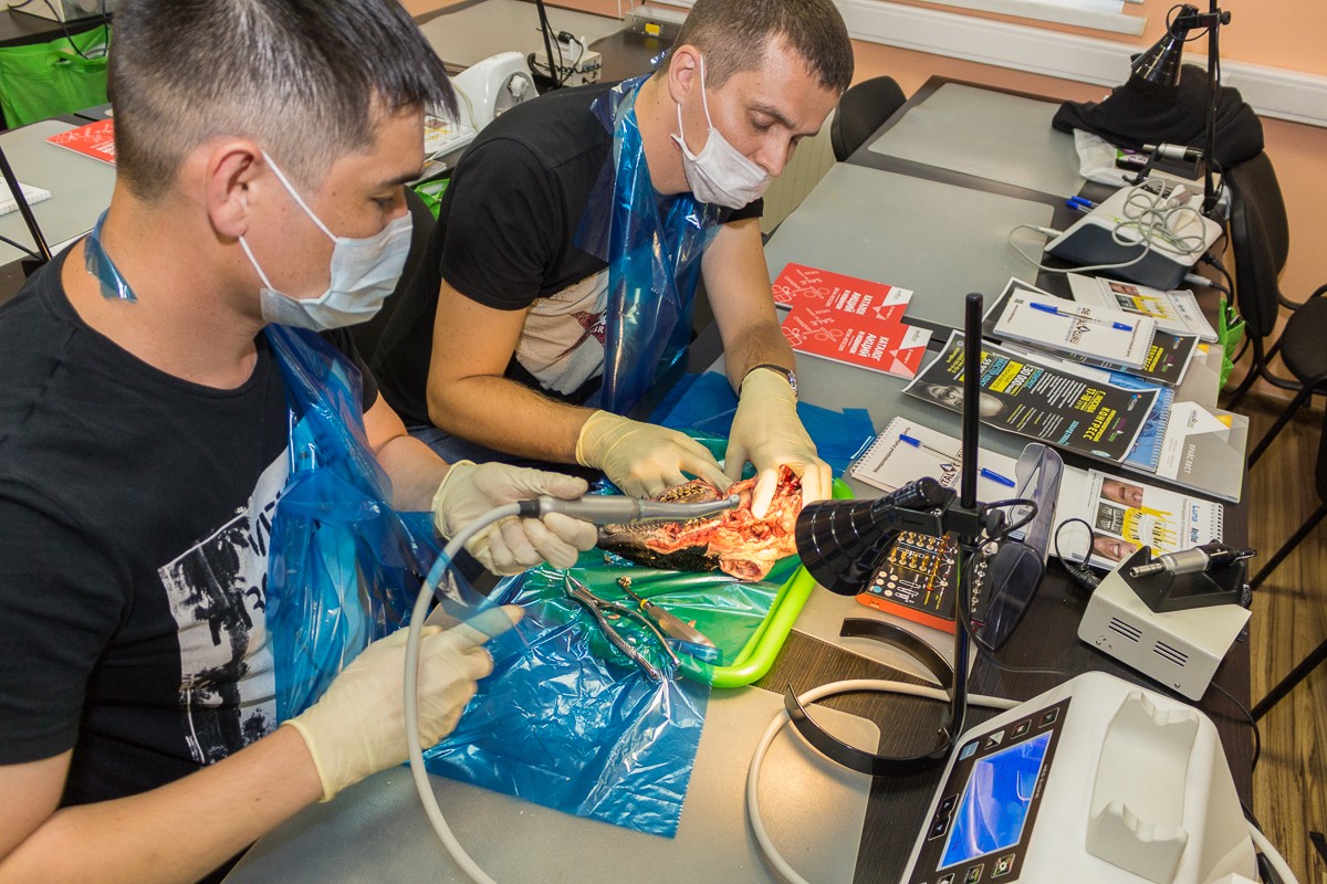 Одномоментная имплантация и немедленная нагрузка