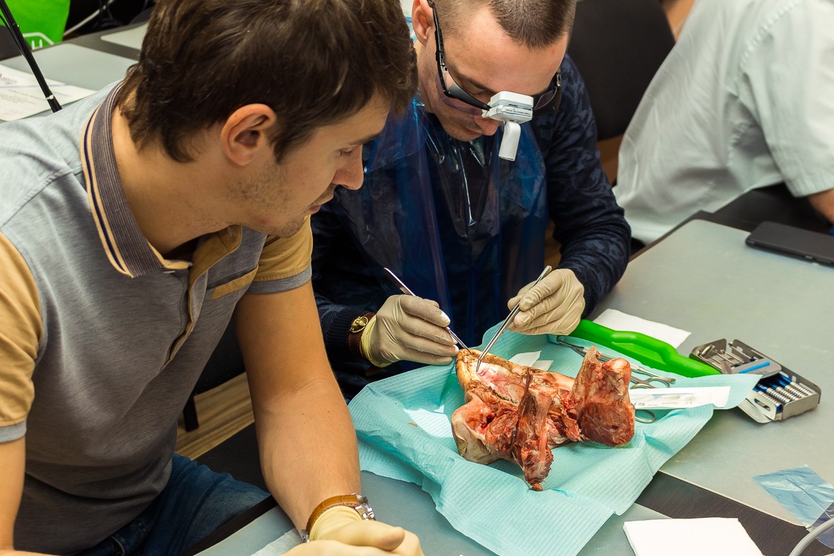 Пластика мягких тканей вокруг имплантатов. Морфологический подход - курс Виталия Панцулаи в УЦ Дентал Гуру.