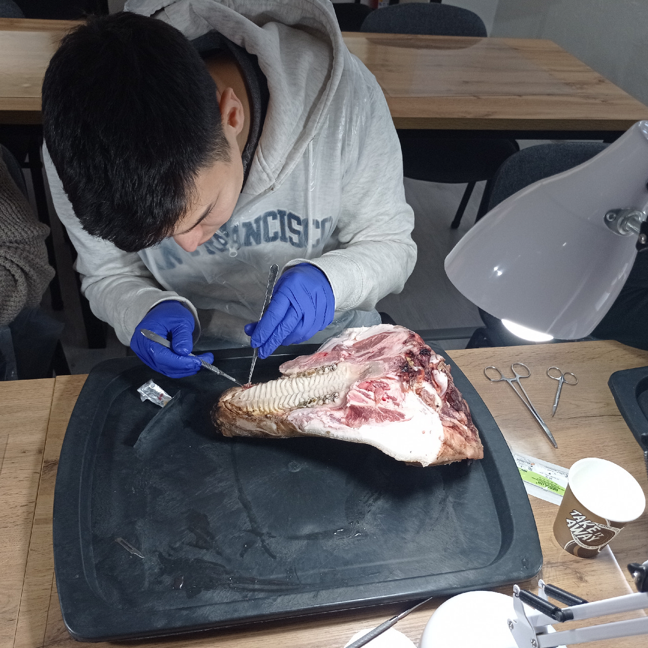 Курс Камиля Хабиева в Астане: Пластика мягких тканей вокруг имплантатов